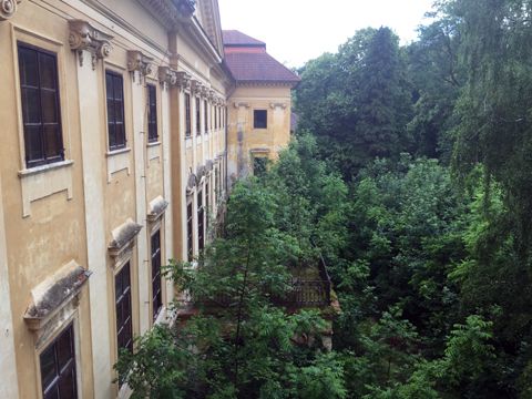Foto 39